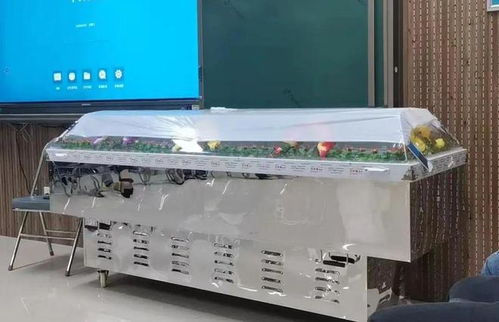 跨界融合 從殯葬專業到計算機批發，膽識鋪就多元職業路
